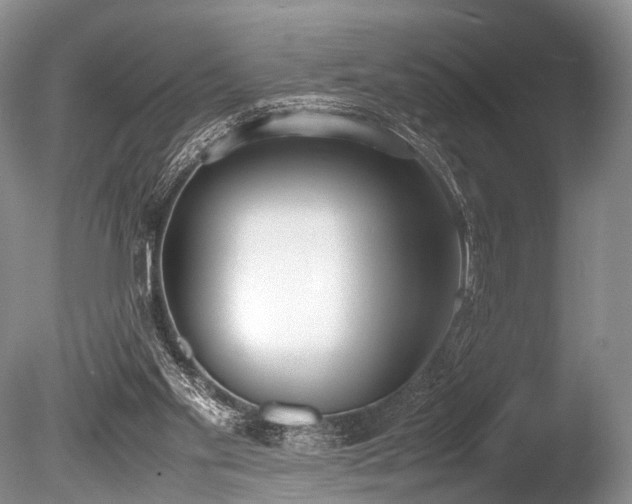 X0000086310109200703301201