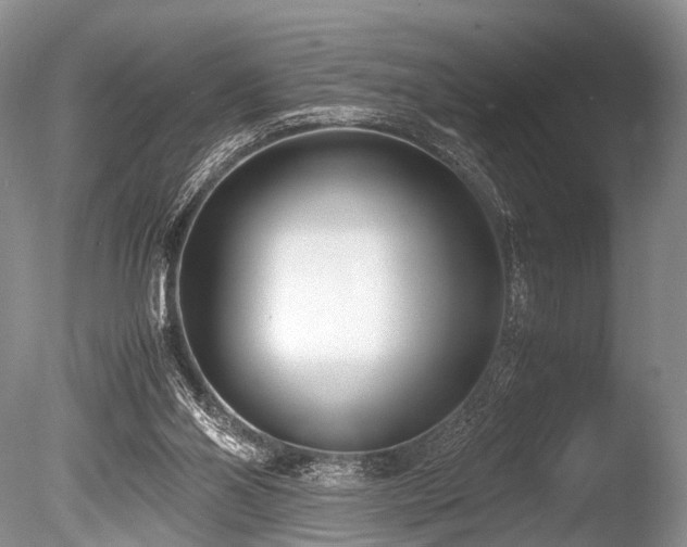 X0000086310110200703301201