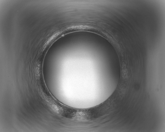X0000086310111200703301201
