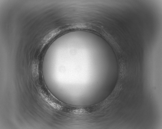 X0000086310112200703301201