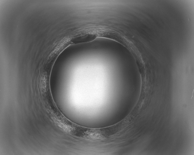 X0000086310113200703301201