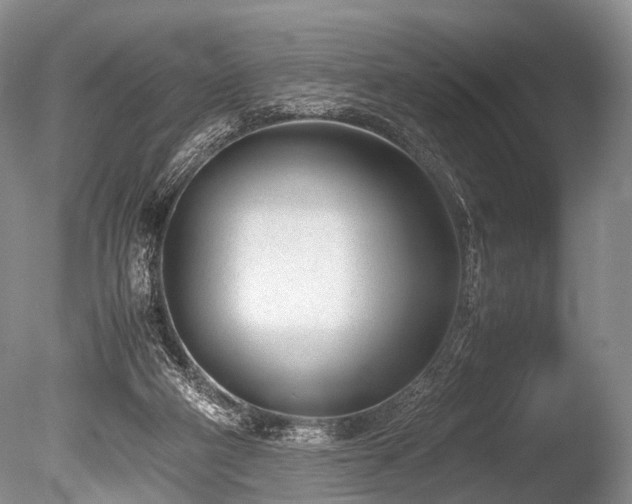 X0000086310114200703301201