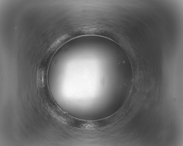 X0000086310115200703301201
