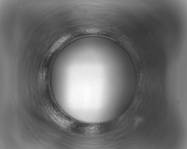 X0000086310116200703301201