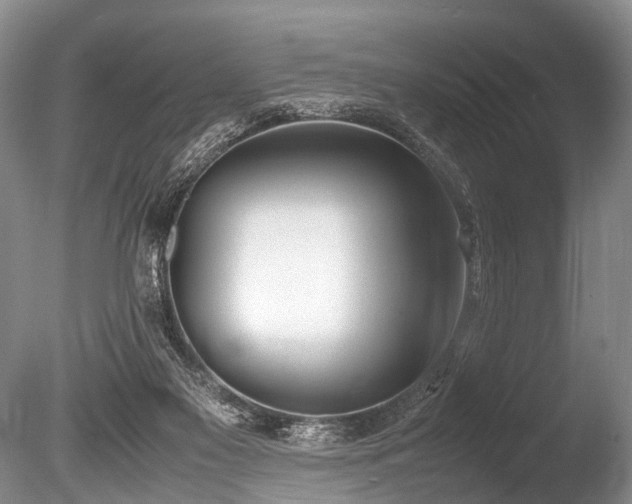 X0000086310117200703301201
