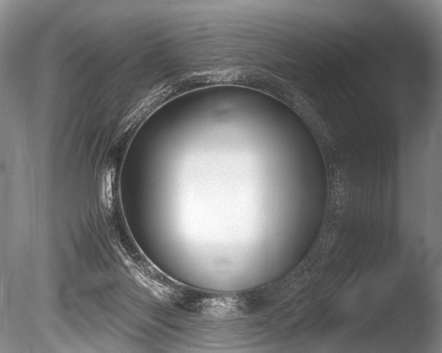 X0000086310118200703301201