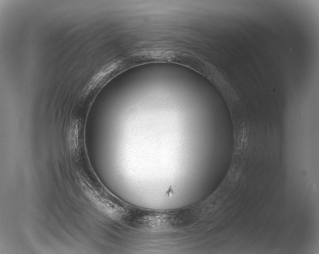 X0000086310120200703301201