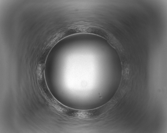 X0000086310121200703301201