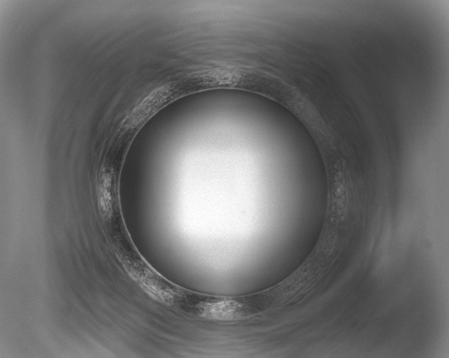 X0000086310122200703301201