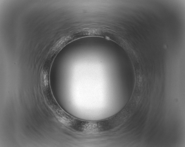 X0000086310123200703301201