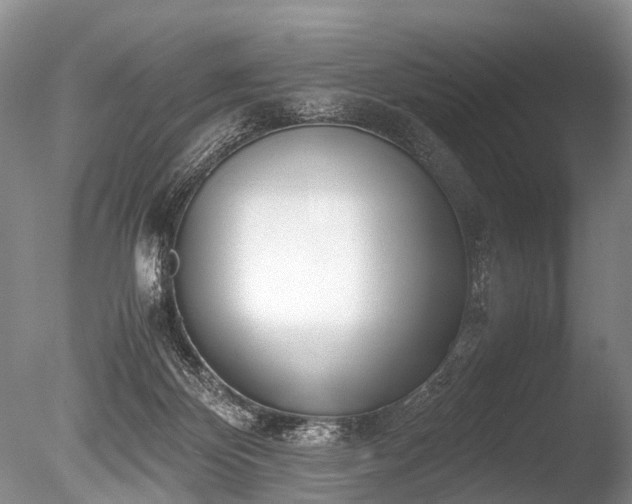 X0000086310124200703301201