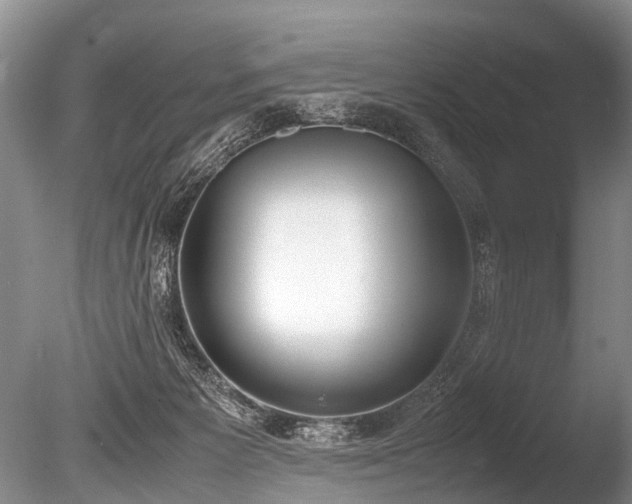 X0000086310125200703301201