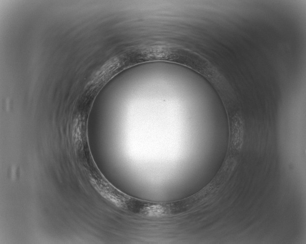 X0000086310126200703301201