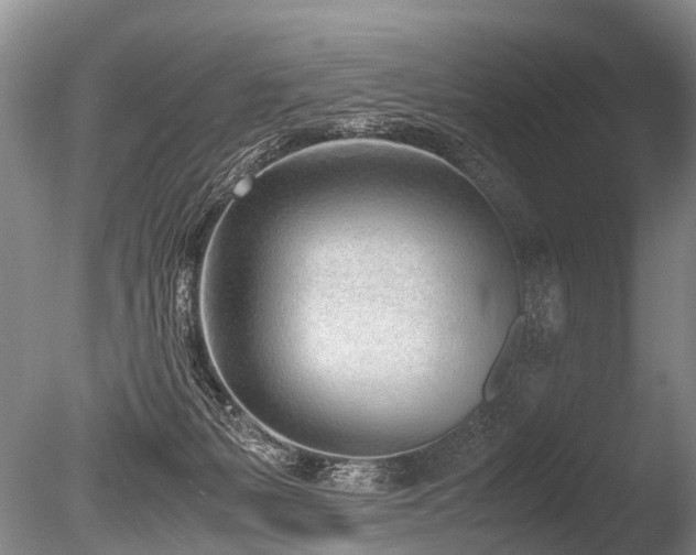 X0000086310127200703301201
