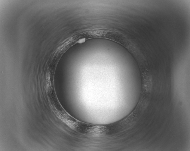 X0000086310128200703301201