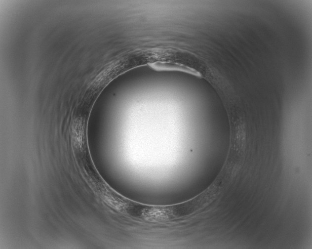 X0000086310129200703301201