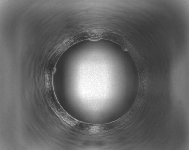 X0000086310130200703301201