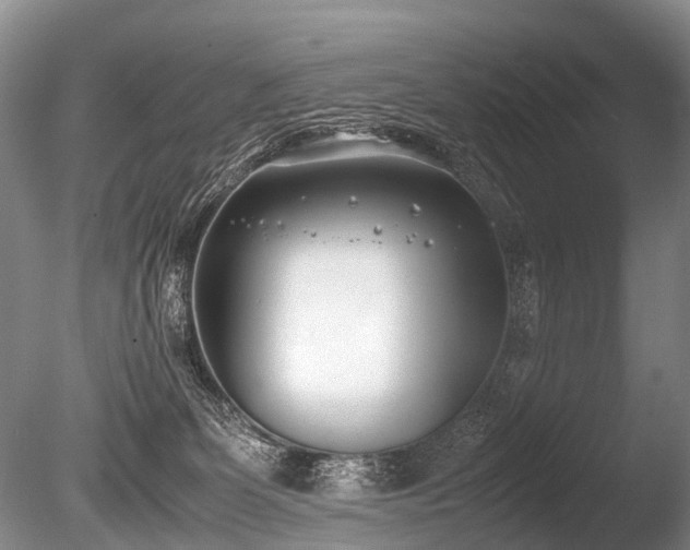 X0000086310131200703301201