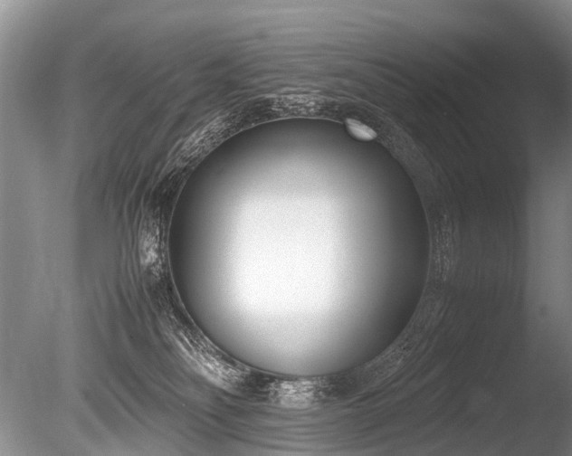 X0000086310134200703301201