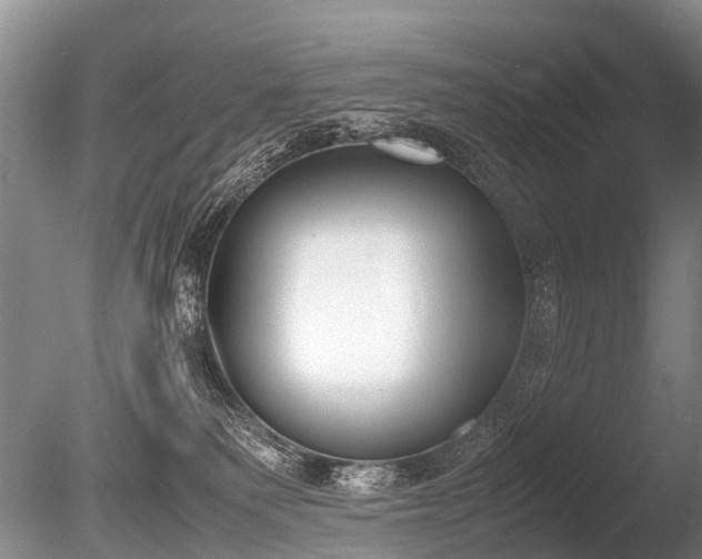 X0000086310135200703301201