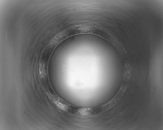 X0000086310136200703301201