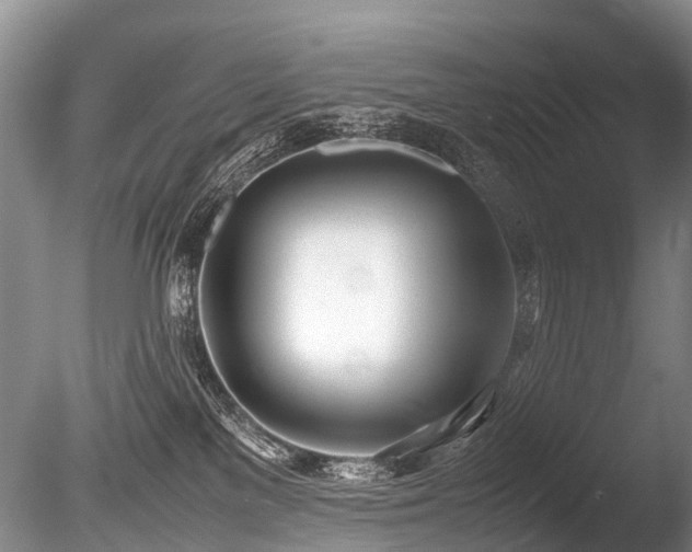 X0000086310137200703301201