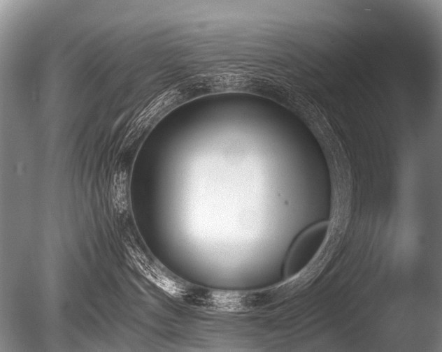 X0000086310144200703301201