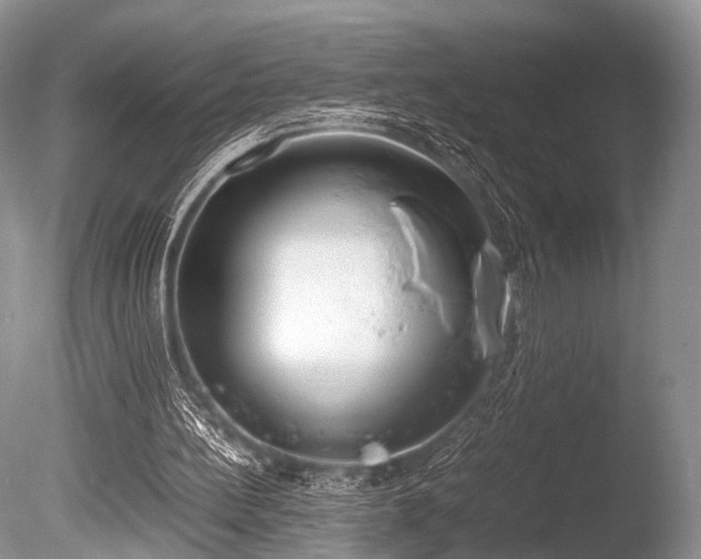 X0000086310148200703301200