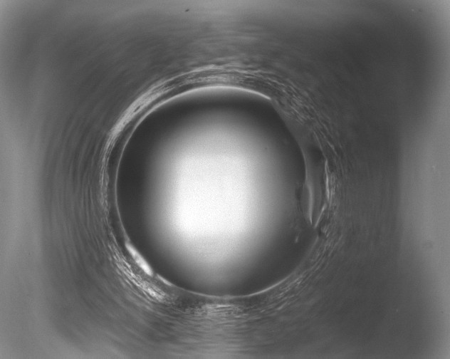 X0000086310150200703301200