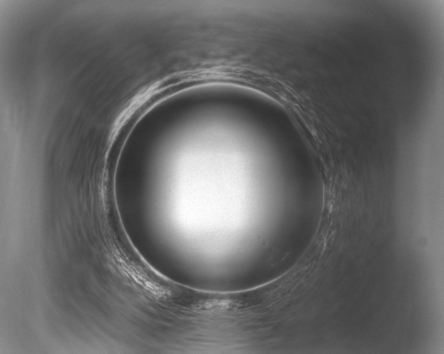 X0000086310152200703301200