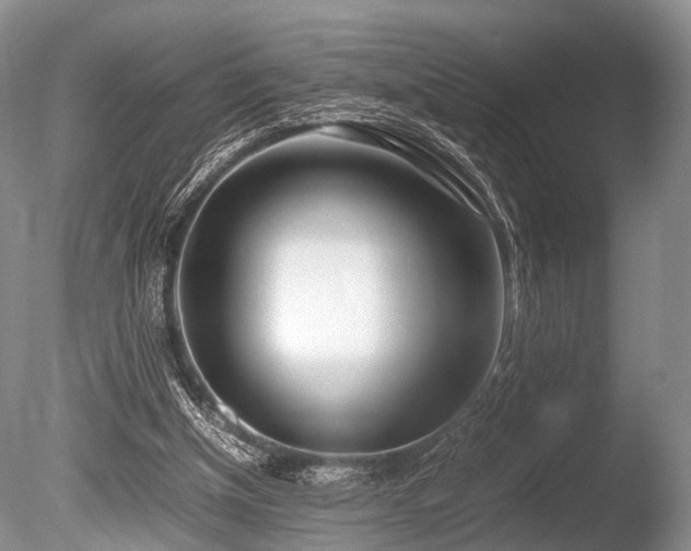 X0000086310154200703301200