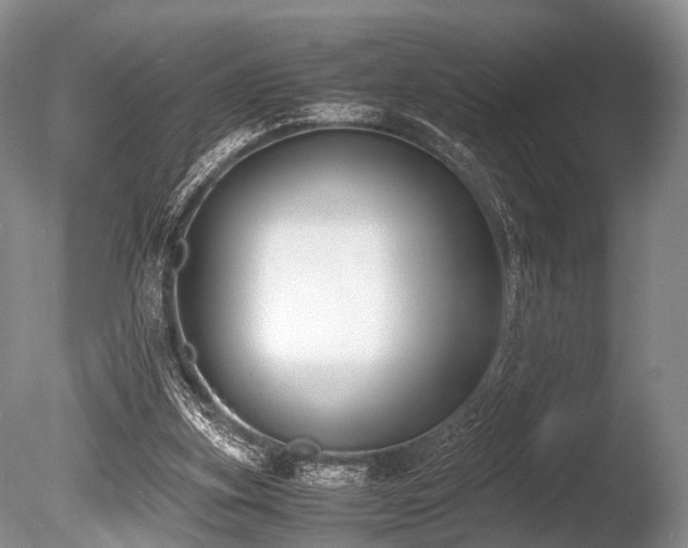 X0000086310155200703301200