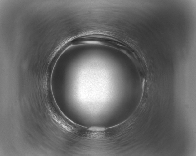 X0000086310156200703301200