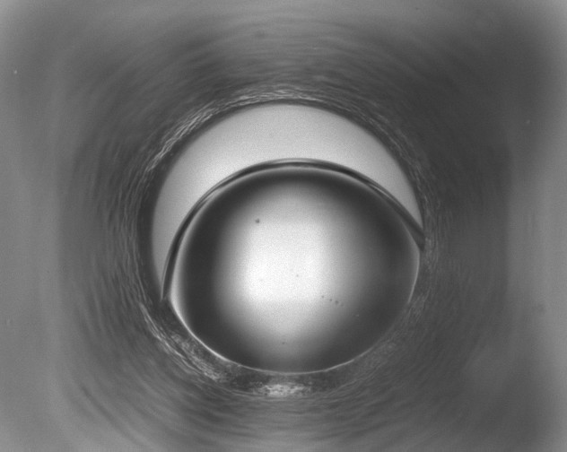 X0000086310158200703301200