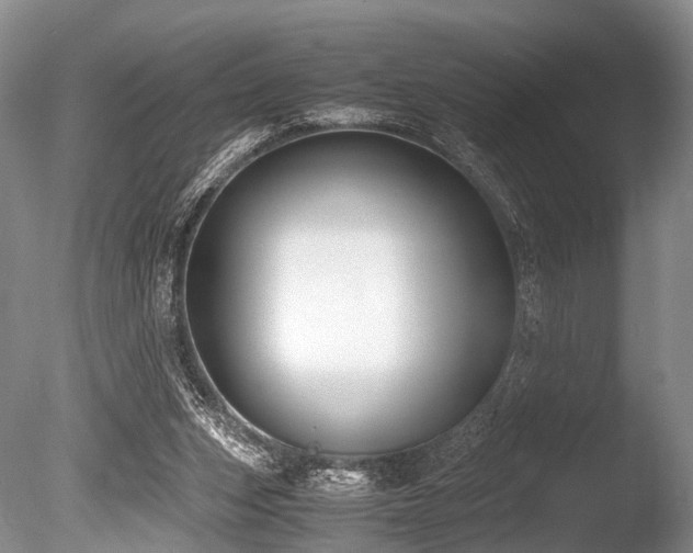 X0000086310159200703301200