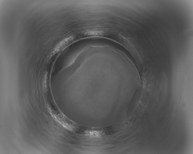 X0000086310163200703301200