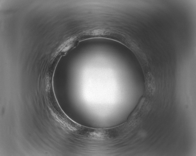 X0000086310164200703301200