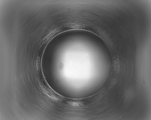 X0000086310165200703301200
