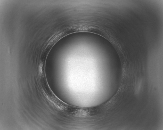 X0000086310166200703301200