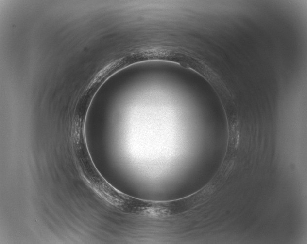 X0000086310168200703301200