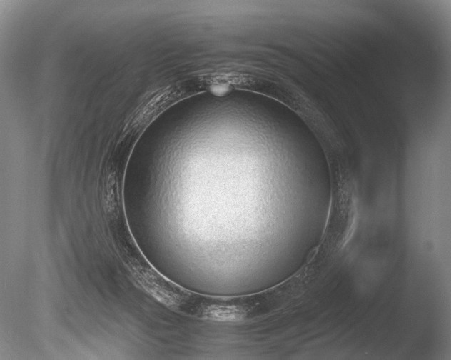 X0000086310169200703301200