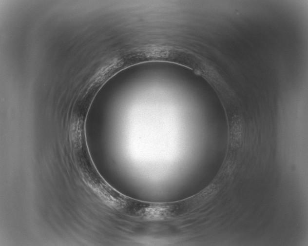X0000086310172200703301200