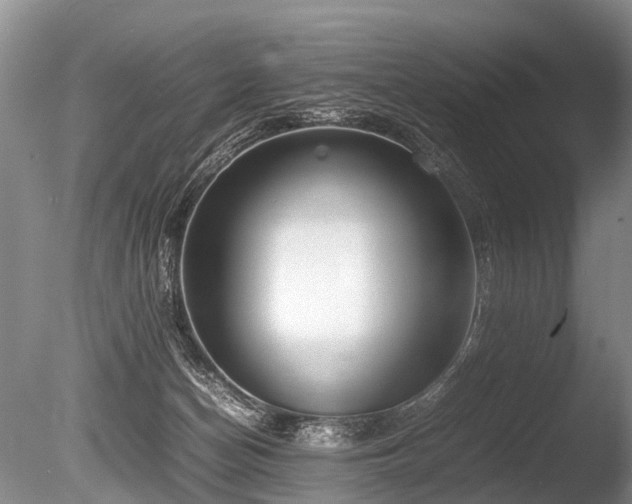 X0000086310174200703301200