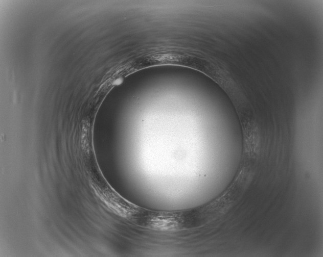 X0000086310175200703301200