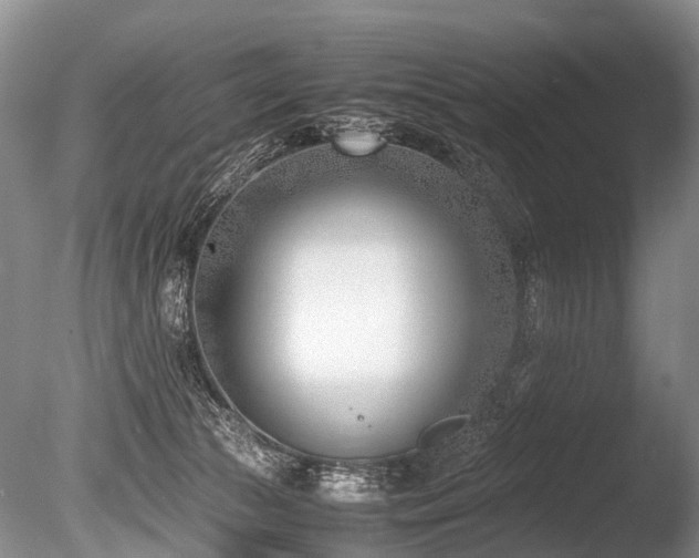 X0000086310177200703301200