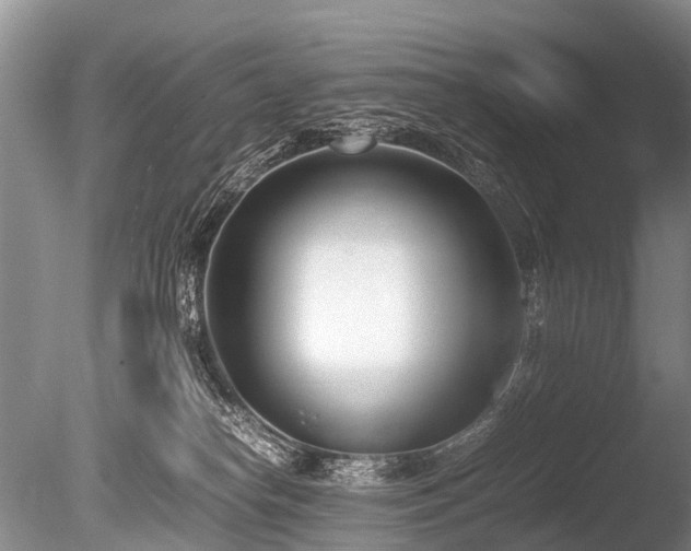 X0000086310182200703301200