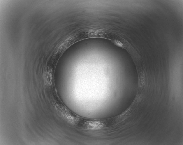 X0000086310183200703301200