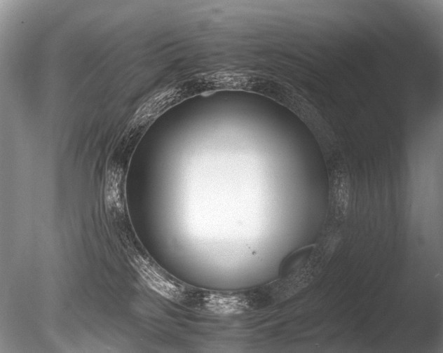 X0000086310185200703301200