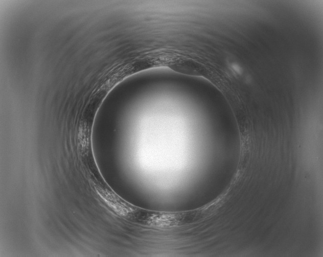 X0000086310186200703301200