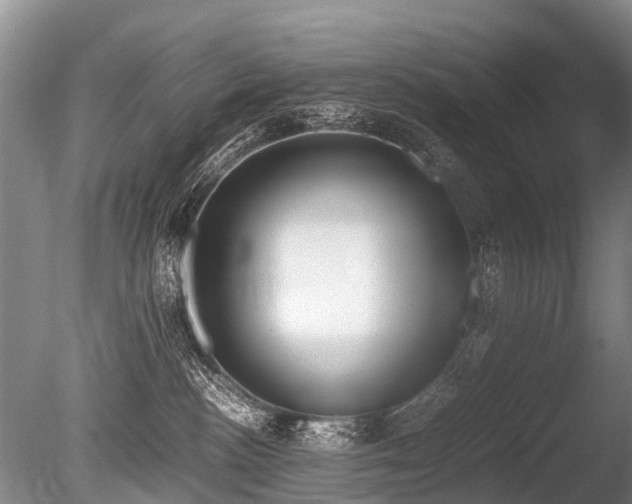 X0000086310188200703301200